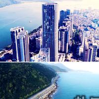 鹽田區地址掛靠